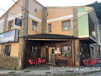 REF 154 MIERES - VALDECUNA REF 154 MIERES - VALDECUNA